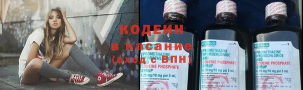 сатива Кинешма