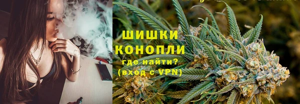 ПСИЛОЦИБИНОВЫЕ ГРИБЫ Алексин