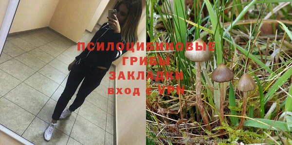 ешки Алзамай