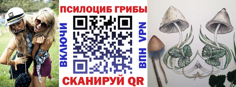 MEGA ТОР Ревда Псилоцибиновые грибы GOLDEN TEACHER